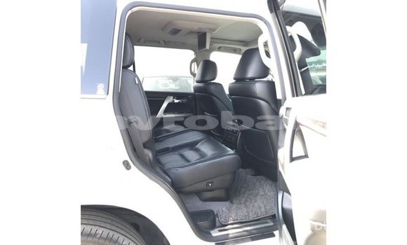 Buy Import Toyota Land Cruiser White Car in Import - Dubai in Abseron Buy Import Toyota Land Cruiser White Car in Import - Dubai in Abseron