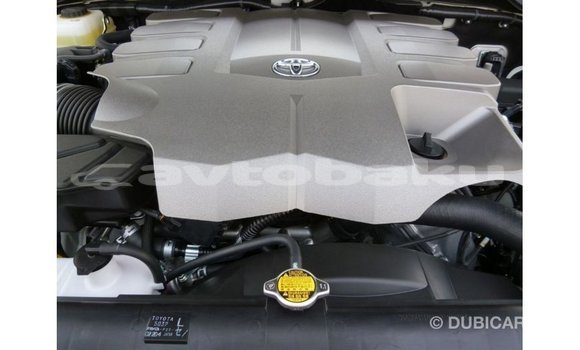 Buy Import Toyota Land Cruiser White Car in Import - Dubai in Abseron Buy Import Toyota Land Cruiser White Car in Import - Dubai in Abseron