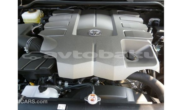Buy Import Toyota Land Cruiser Black Car in Import - Dubai in Abseron Buy Import Toyota Land Cruiser Black Car in Import - Dubai in Abseron