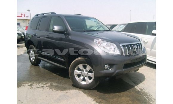 Buy Import Toyota Prado Other Car in Import - Dubai in Abseron Buy Import Toyota Prado Other Car in Import - Dubai in Abseron