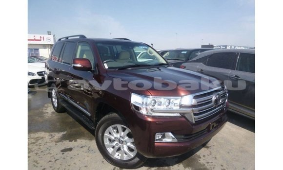 Buy Import Toyota Land Cruiser Brown Car in Import - Dubai in Abseron Buy Import Toyota Land Cruiser Brown Car in Import - Dubai in Abseron