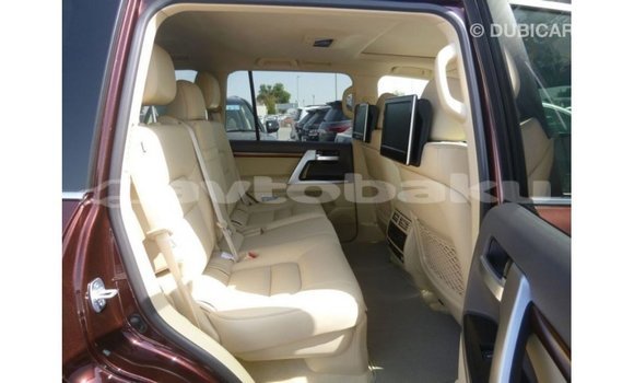 Buy Import Toyota Land Cruiser Brown Car in Import - Dubai in Abseron Buy Import Toyota Land Cruiser Brown Car in Import - Dubai in Abseron