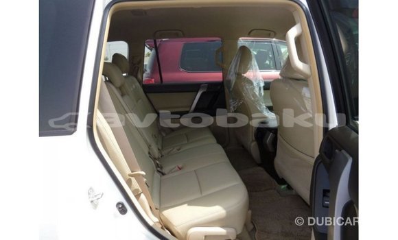 Buy Import Toyota Prado White Car in Import - Dubai in Abseron Buy Import Toyota Prado White Car in Import - Dubai in Abseron