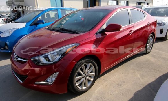 Buy Import Hyundai Elantra Red Car in Import - Dubai in Abseron Buy Import Hyundai Elantra Red Car in Import - Dubai in Abseron
