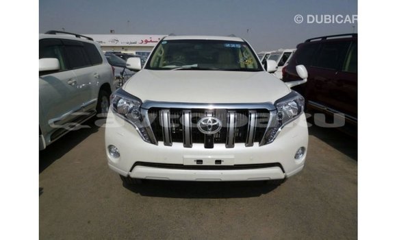 Buy Import Toyota Prado White Car in Import - Dubai in Abseron Buy Import Toyota Prado White Car in Import - Dubai in Abseron