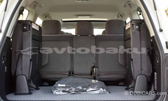 Buy Import Toyota Land Cruiser White Car in Import - Dubai in Abseron Buy Import Toyota Land Cruiser White Car in Import - Dubai in Abseron