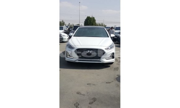 Buy Import Hyundai Sonata White Car in Import - Dubai in Abseron Buy Import Hyundai Sonata White Car in Import - Dubai in Abseron