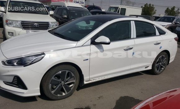 Buy Import Hyundai Sonata White Car in Import - Dubai in Abseron Buy Import Hyundai Sonata White Car in Import - Dubai in Abseron