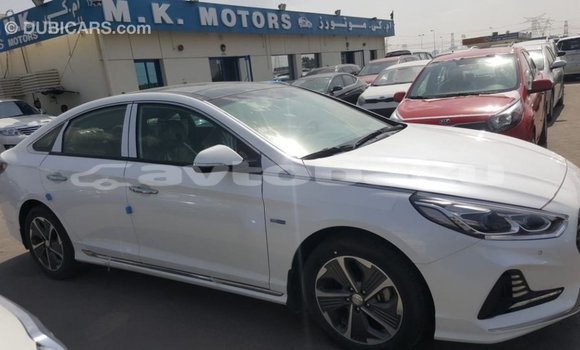 Buy Import Hyundai Sonata White Car in Import - Dubai in Abseron Buy Import Hyundai Sonata White Car in Import - Dubai in Abseron