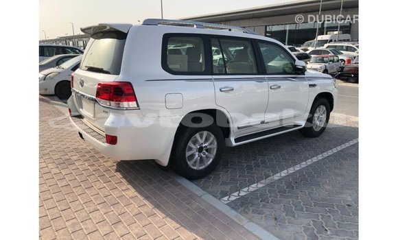 Buy Import Toyota Land Cruiser White Car in Import - Dubai in Abseron Buy Import Toyota Land Cruiser White Car in Import - Dubai in Abseron