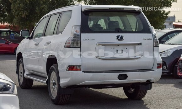 Buy Import Lexus GX White Car in Import - Dubai in Abseron Buy Import Lexus GX White Car in Import - Dubai in Abseron