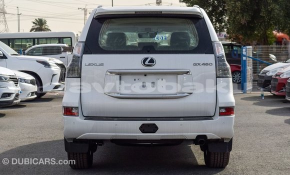 Buy Import Lexus GX White Car in Import - Dubai in Abseron Buy Import Lexus GX White Car in Import - Dubai in Abseron