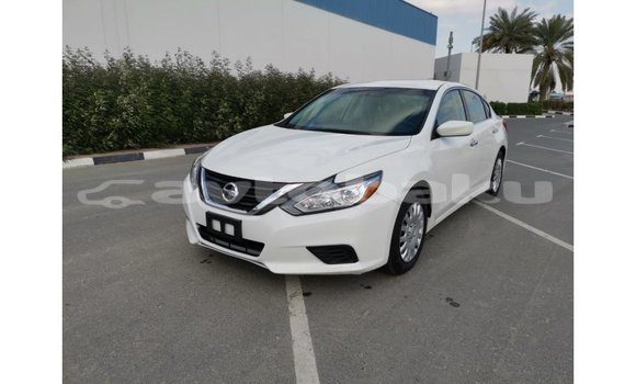 Buy Import Nissan Altima White Car in Import - Dubai in Abseron Buy Import Nissan Altima White Car in Import - Dubai in Abseron