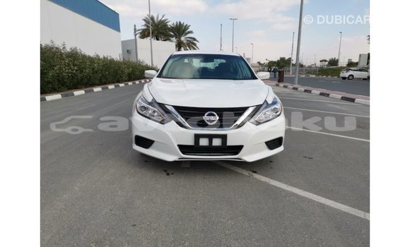 Buy Import Nissan Altima White Car in Import - Dubai in Abseron Buy Import Nissan Altima White Car in Import - Dubai in Abseron