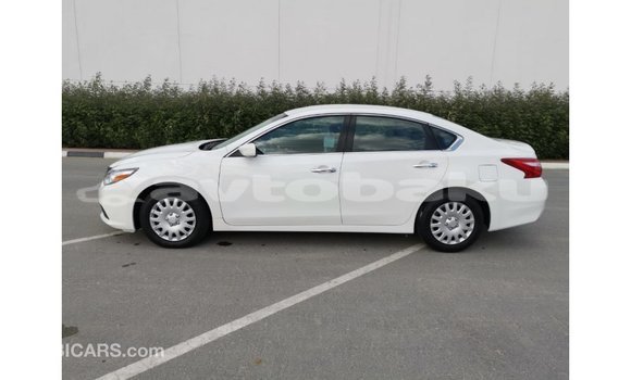 Buy Import Nissan Altima White Car in Import - Dubai in Abseron Buy Import Nissan Altima White Car in Import - Dubai in Abseron