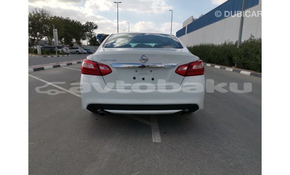 Buy Import Nissan Altima White Car in Import - Dubai in Abseron Buy Import Nissan Altima White Car in Import - Dubai in Abseron