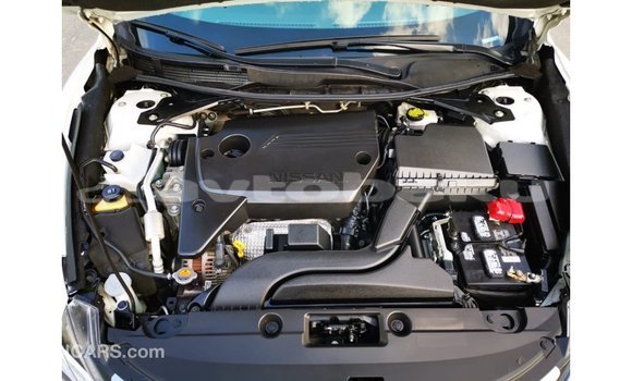 Buy Import Nissan Altima White Car in Import - Dubai in Abseron Buy Import Nissan Altima White Car in Import - Dubai in Abseron
