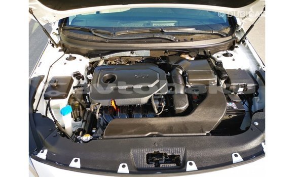 Buy Import Hyundai Sonata White Car in Import - Dubai in Abseron Buy Import Hyundai Sonata White Car in Import - Dubai in Abseron
