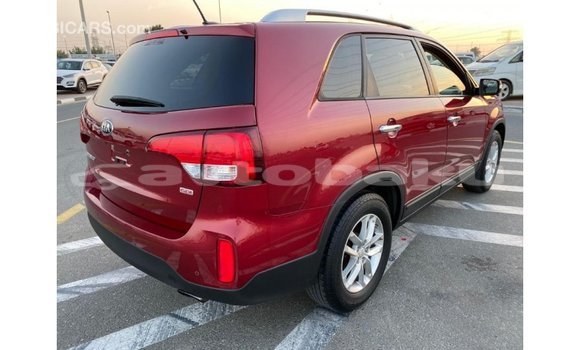 Buy Import Kia Sorento Red Car in Import - Dubai in Abseron Buy Import Kia Sorento Red Car in Import - Dubai in Abseron