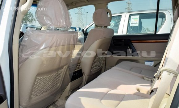 Buy Import Toyota Land Cruiser White Car in Import - Dubai in Abseron Buy Import Toyota Land Cruiser White Car in Import - Dubai in Abseron