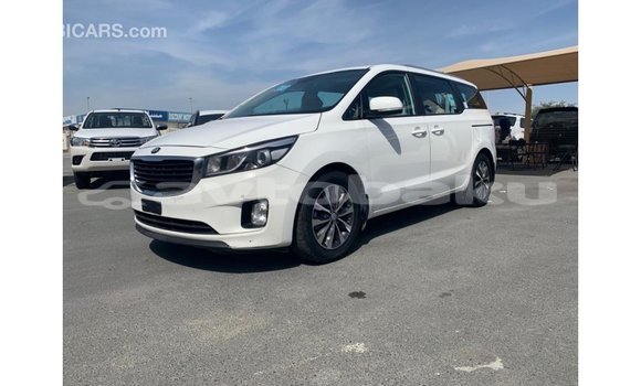 Buy Import Kia Carnival White Car in Import - Dubai in Abseron Buy Import Kia Carnival White Car in Import - Dubai in Abseron