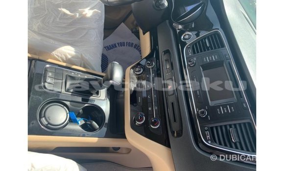 Buy Import Kia Carnival White Car in Import - Dubai in Abseron Buy Import Kia Carnival White Car in Import - Dubai in Abseron