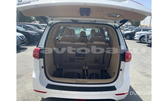 Buy Import Kia Carnival White Car in Import - Dubai in Abseron Buy Import Kia Carnival White Car in Import - Dubai in Abseron