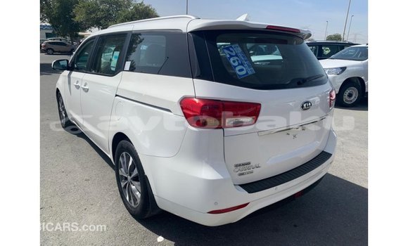 Buy Import Kia Carnival White Car in Import - Dubai in Abseron Buy Import Kia Carnival White Car in Import - Dubai in Abseron