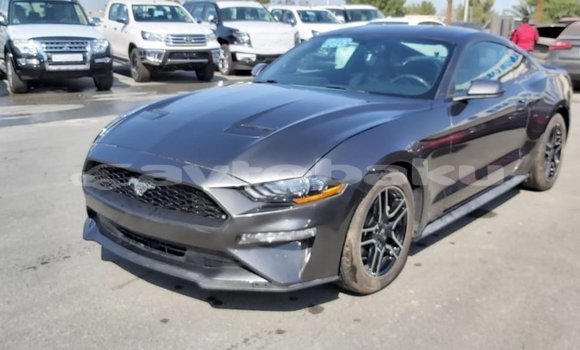 Buy Import Ford Mustang Other Car in Import - Dubai in Abseron Buy Import Ford Mustang Other Car in Import - Dubai in Abseron