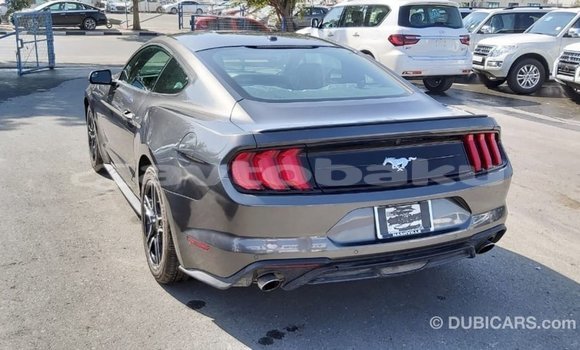 Buy Import Ford Mustang Other Car in Import - Dubai in Abseron Buy Import Ford Mustang Other Car in Import - Dubai in Abseron