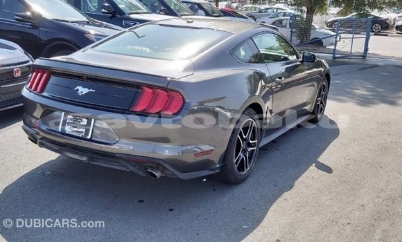 Buy Import Ford Mustang Other Car in Import - Dubai in Abseron Buy Import Ford Mustang Other Car in Import - Dubai in Abseron