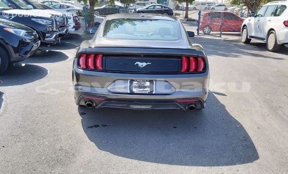 Buy Import Ford Mustang Other Car in Import - Dubai in Abseron Buy Import Ford Mustang Other Car in Import - Dubai in Abseron