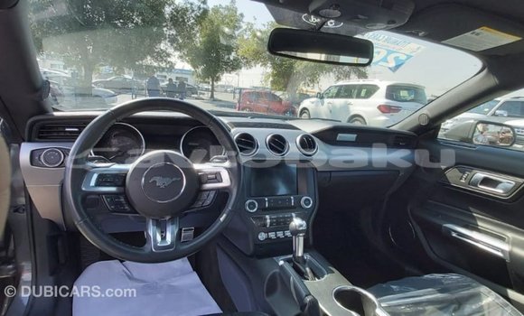 Buy Import Ford Mustang Other Car in Import - Dubai in Abseron Buy Import Ford Mustang Other Car in Import - Dubai in Abseron