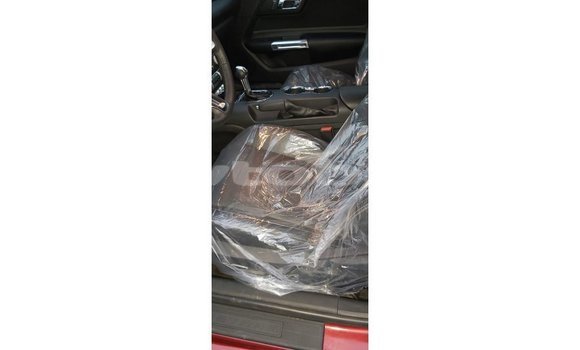 Buy Import Ford Mustang Red Car in Import - Dubai in Abseron Buy Import Ford Mustang Red Car in Import - Dubai in Abseron