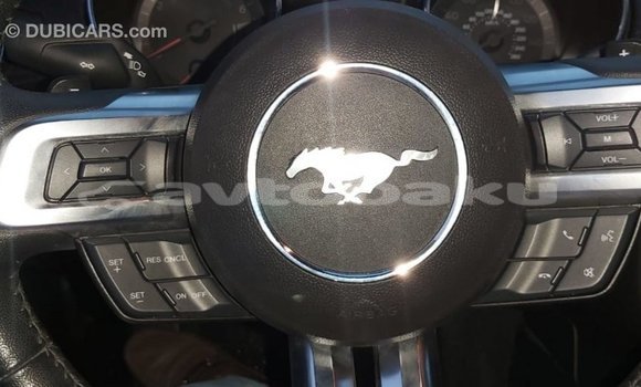 Buy Import Ford Mustang Red Car in Import - Dubai in Abseron Buy Import Ford Mustang Red Car in Import - Dubai in Abseron