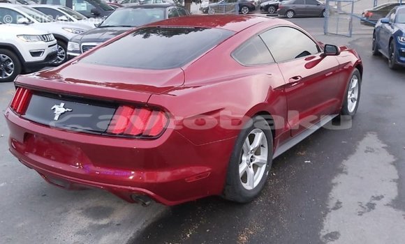 Buy Import Ford Mustang Red Car in Import - Dubai in Abseron Buy Import Ford Mustang Red Car in Import - Dubai in Abseron