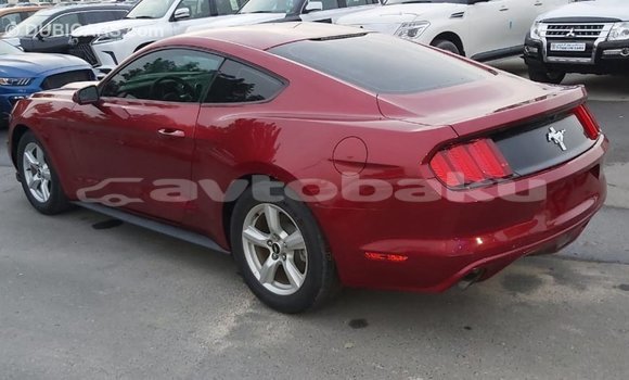 Buy Import Ford Mustang Red Car in Import - Dubai in Abseron Buy Import Ford Mustang Red Car in Import - Dubai in Abseron