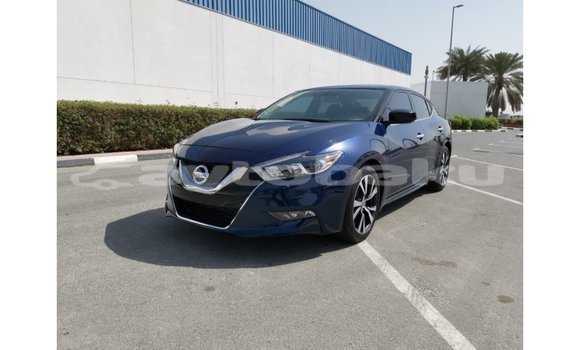 Buy Import Nissan Maxima Blue Car in Import - Dubai in Abseron Buy Import Nissan Maxima Blue Car in Import - Dubai in Abseron