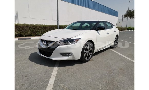 Buy Import Nissan Maxima White Car in Import - Dubai in Abseron Buy Import Nissan Maxima White Car in Import - Dubai in Abseron