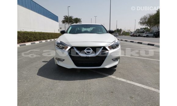 Buy Import Nissan Maxima White Car in Import - Dubai in Abseron Buy Import Nissan Maxima White Car in Import - Dubai in Abseron