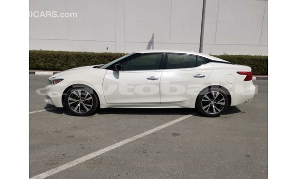 Buy Import Nissan Maxima White Car in Import - Dubai in Abseron Buy Import Nissan Maxima White Car in Import - Dubai in Abseron