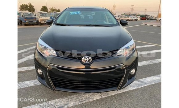 Buy Import Toyota Corolla Black Car in Import - Dubai in Abseron Buy Import Toyota Corolla Black Car in Import - Dubai in Abseron