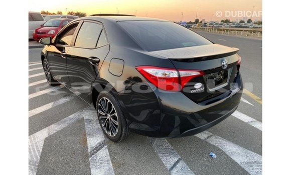 Buy Import Toyota Corolla Black Car in Import - Dubai in Abseron Buy Import Toyota Corolla Black Car in Import - Dubai in Abseron