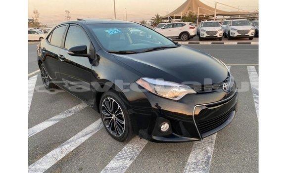 Buy Import Toyota Corolla Black Car in Import - Dubai in Abseron Buy Import Toyota Corolla Black Car in Import - Dubai in Abseron