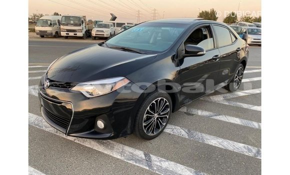 Buy Import Toyota Corolla Black Car in Import - Dubai in Abseron Buy Import Toyota Corolla Black Car in Import - Dubai in Abseron
