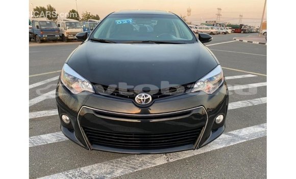 Buy Import Toyota Corolla Black Car in Import - Dubai in Abseron Buy Import Toyota Corolla Black Car in Import - Dubai in Abseron