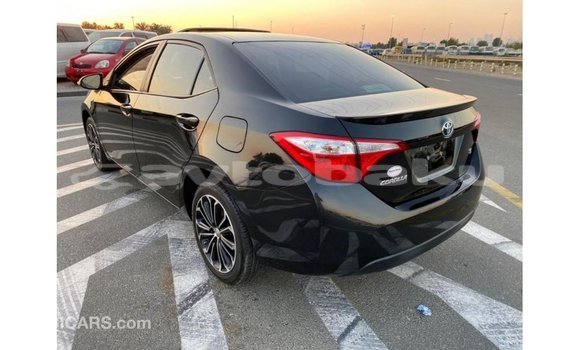 Buy Import Toyota Corolla Black Car in Import - Dubai in Abseron Buy Import Toyota Corolla Black Car in Import - Dubai in Abseron