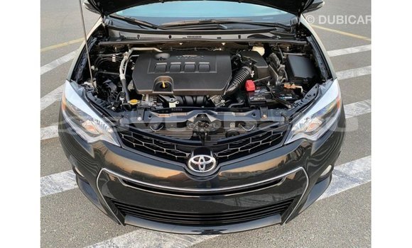 Buy Import Toyota Corolla Black Car in Import - Dubai in Abseron Buy Import Toyota Corolla Black Car in Import - Dubai in Abseron