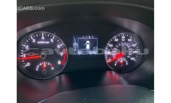 Buy Import Kia Sportage White Car in Import - Dubai in Abseron Buy Import Kia Sportage White Car in Import - Dubai in Abseron