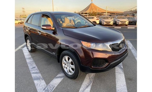 Buy Import Kia Sorento Brown Car in Import - Dubai in Abseron Buy Import Kia Sorento Brown Car in Import - Dubai in Abseron